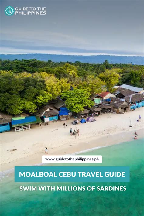 Moalboal Cebu Travel Guide: Swim with Millions of .